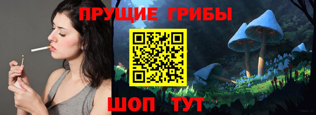 Долгопрудный  Псилоцибиновые грибы Cubensis  Вход с VPN 